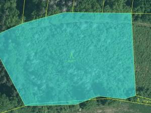 Prodej pozemku, Boršov nad Vltavou, 7673 m2