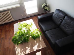 Pronájem bytu 1+kk, Praha - Podolí, Kaplická, 34 m2