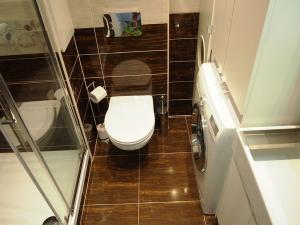 Pronájem bytu 1+kk, Praha - Podolí, Kaplická, 34 m2