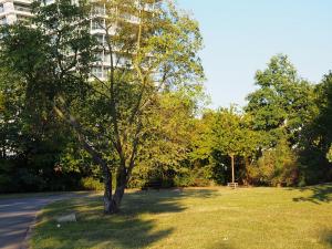 Pronájem bytu 1+kk, Praha - Podolí, Kaplická, 34 m2