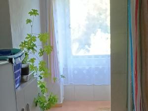 Pronájem chalupy, 66 m2