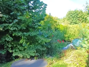 Pronájem chalupy, Sedlec-Prčice - Myslkov, 66 m2