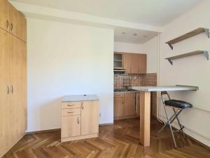 Pronájem bytu 1+kk, Praha - Žižkov, Biskupcova, 30 m2