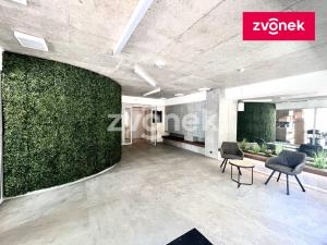 Pronájem bytu 1+kk, Zlín, Nad Stráněmi, 33 m2