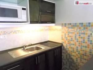 Pronájem bytu 1+kk, Praha - Vinohrady, Kolínská, 33 m2