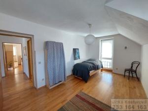 Prodej vily, Otice, Domky, 380 m2