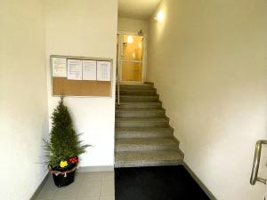 Pronájem bytu 1+kk, Kopřivnice, Štramberská, 28 m2