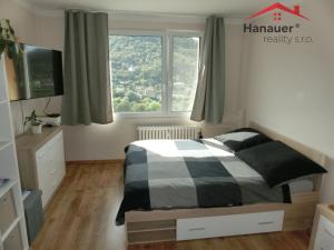 Pronájem bytu 2+1, Ústí nad Labem - Střekov, Tolstého, 60 m2
