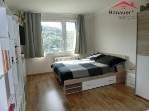 Pronájem bytu 2+1, Ústí nad Labem - Střekov, Tolstého, 60 m2
