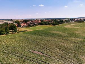 Prodej pozemku pro bydlení, Běrunice, 3467 m2