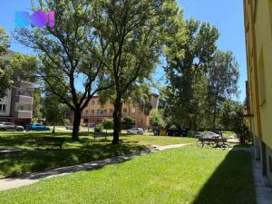 Prodej bytu 2+1, Karviná, Haškova, 48 m2