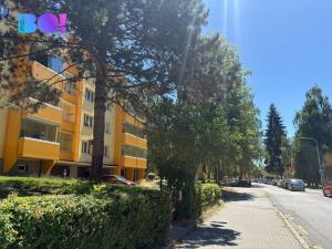 Prodej bytu 2+1, Karviná, Haškova, 48 m2