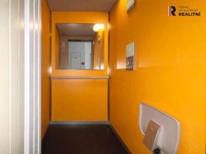 Pronájem bytu 3+kk, Benešov, Tyršova, 108 m2
