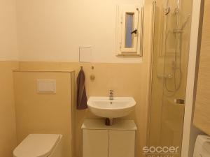 Pronájem bytu 1+kk, Praha - Žižkov, Jeseniova, 28 m2
