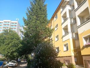 Pronájem bytu 1+kk, Praha - Žižkov, Jeseniova, 28 m2