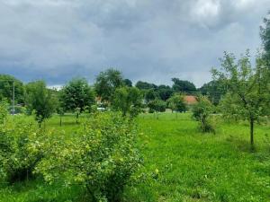 Prodej rodinného domu, Bartošovice, 921 m2