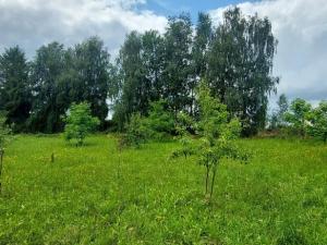 Prodej rodinného domu, Bartošovice, 921 m2