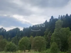 Prodej bytu 2+1, Jindřichov, 79 m2