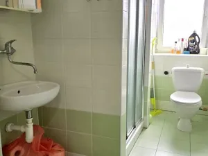 Prodej bytu 1+1, Mladé Buky, 49 m2