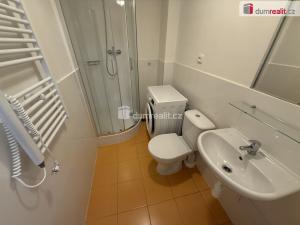 Pronájem bytu 1+kk, Praha - Smíchov, Na Valentince, 48 m2