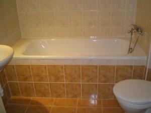 Pronájem bytu 1+kk, Brno - Medlánky, Ke Statku, 38 m2