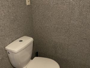 Pronájem bytu 1+kk, Praha - Vysočany, Freyova, 20 m2