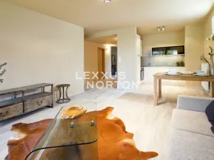 Pronájem bytu 2+kk, Praha - Vinohrady, Italská, 75 m2
