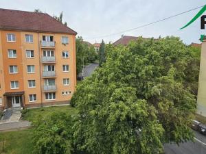 Pronájem bytu 2+1, Tachov, Školní, 58 m2