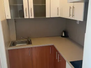 Pronájem bytu 1+kk, Praha - Bubeneč, Milady Horákové, 30 m2