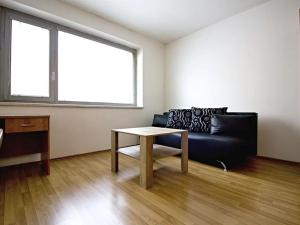 Pronájem bytu 1+kk, Brno, Hybešova, 33 m2