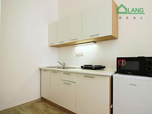 Pronájem bytu 1+kk, Brno, Koliště, 30 m2
