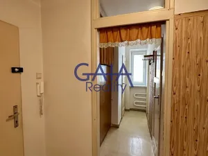 Prodej bytu 2+1, Hodonín, Křičkova, 60 m2