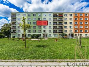 Prodej bytu 3+1, Plzeň, Nad Dalmatinkou, 67 m2