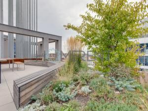 Pronájem bytu 1+kk, Praha - Smíchov, Plzeňská, 31 m2