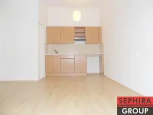 Pronájem bytu 1+kk, Praha - Nusle, U čtyř domů, 25 m2
