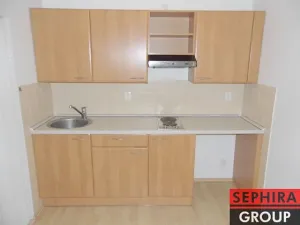 Pronájem bytu 1+kk, Praha - Nusle, U čtyř domů, 25 m2