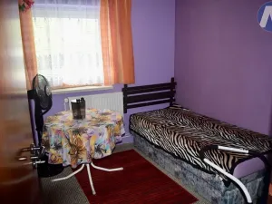 Prodej rodinného domu, Strakonice, Švandy dudáka, 120 m2