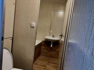 Pronájem bytu 2+1, Jihlava - Antonínův Důl, 56 m2