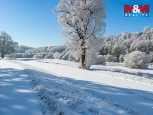 Prodej komerčního pozemku, Zlatá Koruna - Rájov, 1054 m2