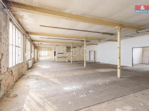 Pronájem výrobních prostor, Krásná Lípa, Bezručova, 5000 m2