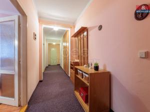 Prodej bytu 2+1, Ostrov, S. K. Neumanna, 66 m2