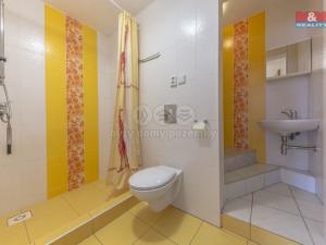Prodej ubytování, Třebívlice - Dřemčice, 950 m2