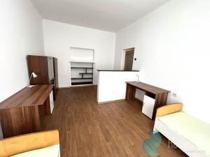 Pronájem bytu 2+1, České Budějovice, Dobrovodská, 98 m2