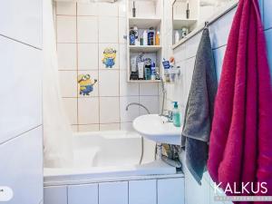 Prodej bytu 2+kk, Mladá Boleslav, Jičínská, 39 m2