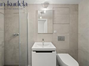 Pronájem bytu 1+kk, Brno, Placzkova, 39 m2