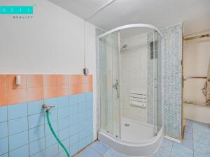 Prodej bytu 2+1, Luběnice, 140 m2