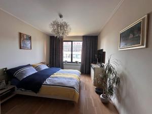 Prodej bytu 3+kk, Praha - Karlín, Nekvasilova, 81 m2