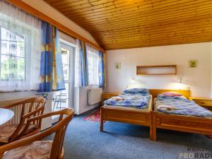 Prodej ubytování, Nová Ves nad Nisou, 975 m2