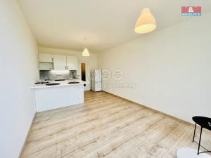 Pronájem bytu 1+kk, Praha - Krč, Štúrova, 28 m2
