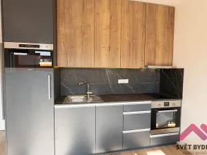 Pronájem bytu 1+kk, Praha - Holešovice, V háji, 40 m2
